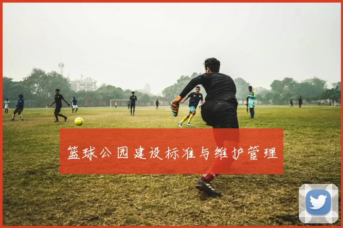 篮球公园建设标准与维护管理