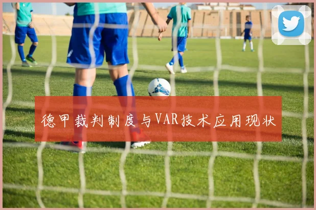 德甲裁判制度与VAR技术应用现状
