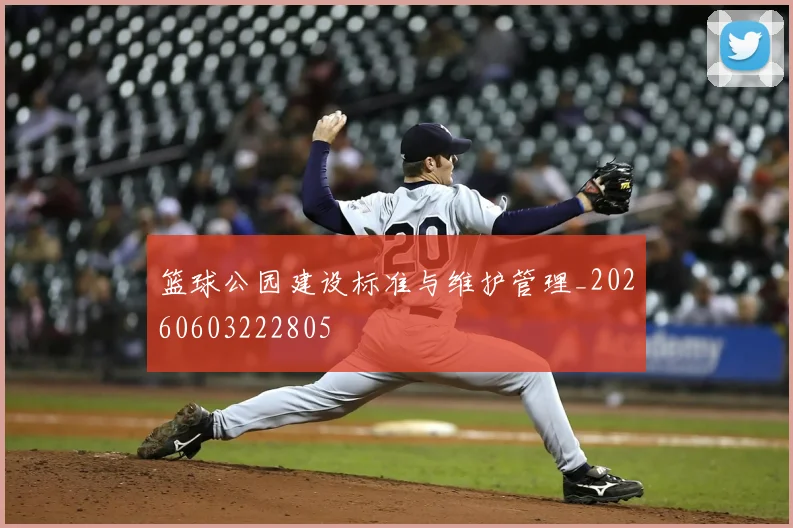 篮球公园建设标准与维护管理_20260603222805