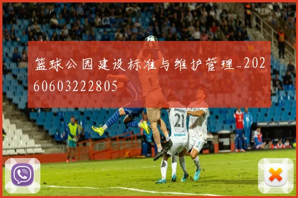 篮球公园建设标准与维护管理_20260603222805