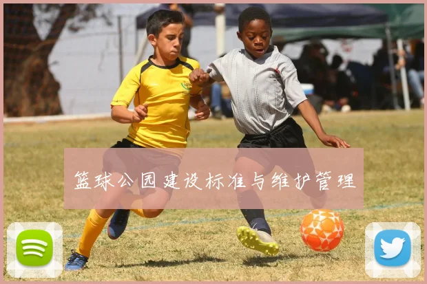篮球公园建设标准与维护管理